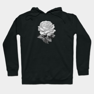 White Rose Black-White Illustration Hoodie